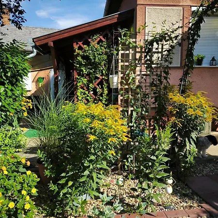 Zsóka Apartament
